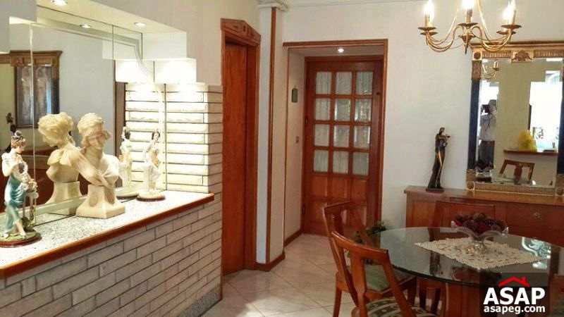 Furnished Apartment with Big Terrace in Zamalek Furnished Apartment with Big Terrace in Zamalek