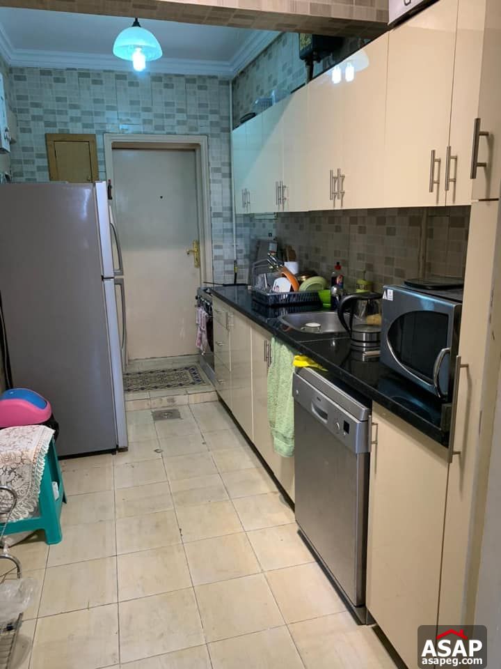 Apartments for Rent in Zamalek Apartments for Rent in Zamalek