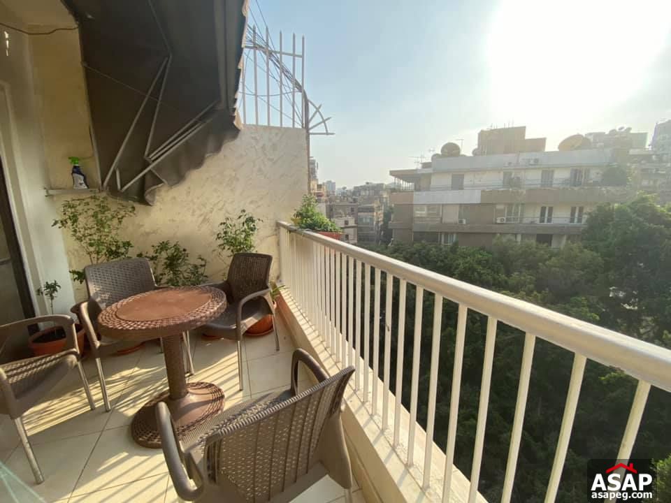 Nice Flat for Rent in Zamalek Nice Flat for Rent in Zamalek