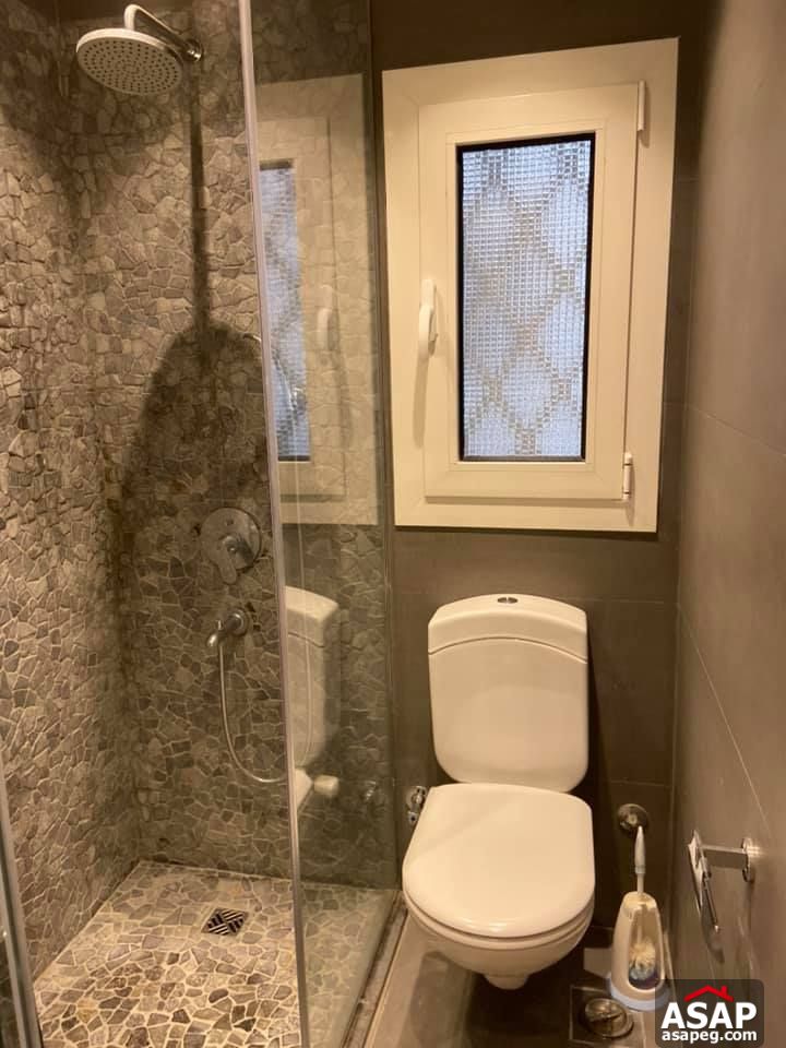 Apartment for Rent in Zamalek Apartment for Rent in Zamalek