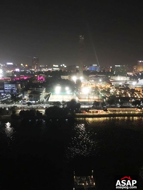 Furnished Apartment with Nile View in Dokki