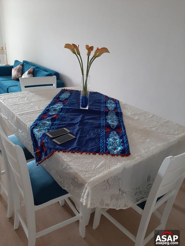 Apartment for Rent in Cairo Festival City