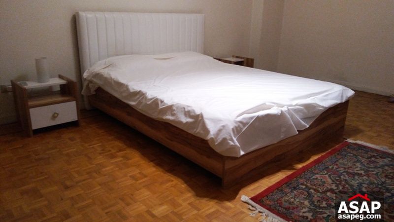 Modern Apartment for Rent in Zamalek