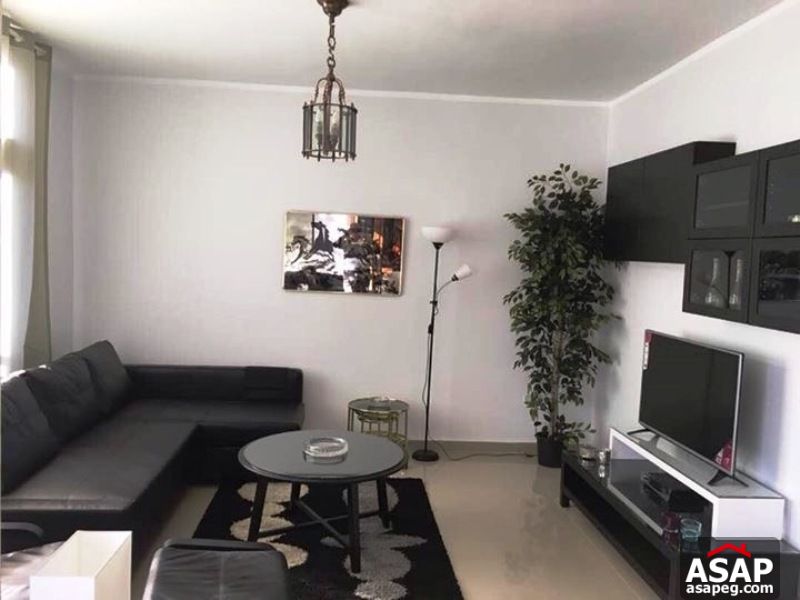 apartment for rent in zamalek apartment for rent in zamalek