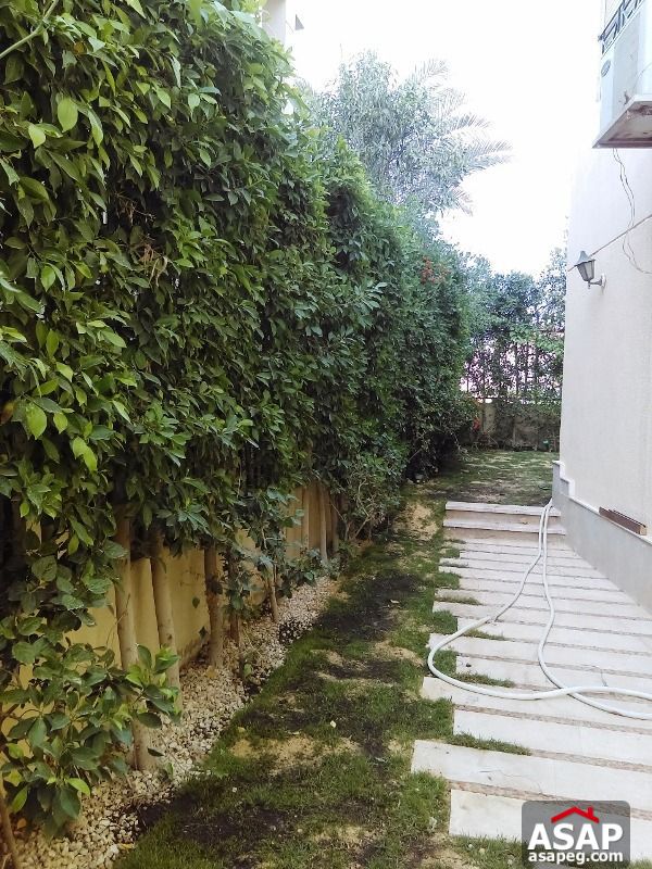 Town House for Rent in Sheikh Zayed Town House for Rent in Sheikh Zayed