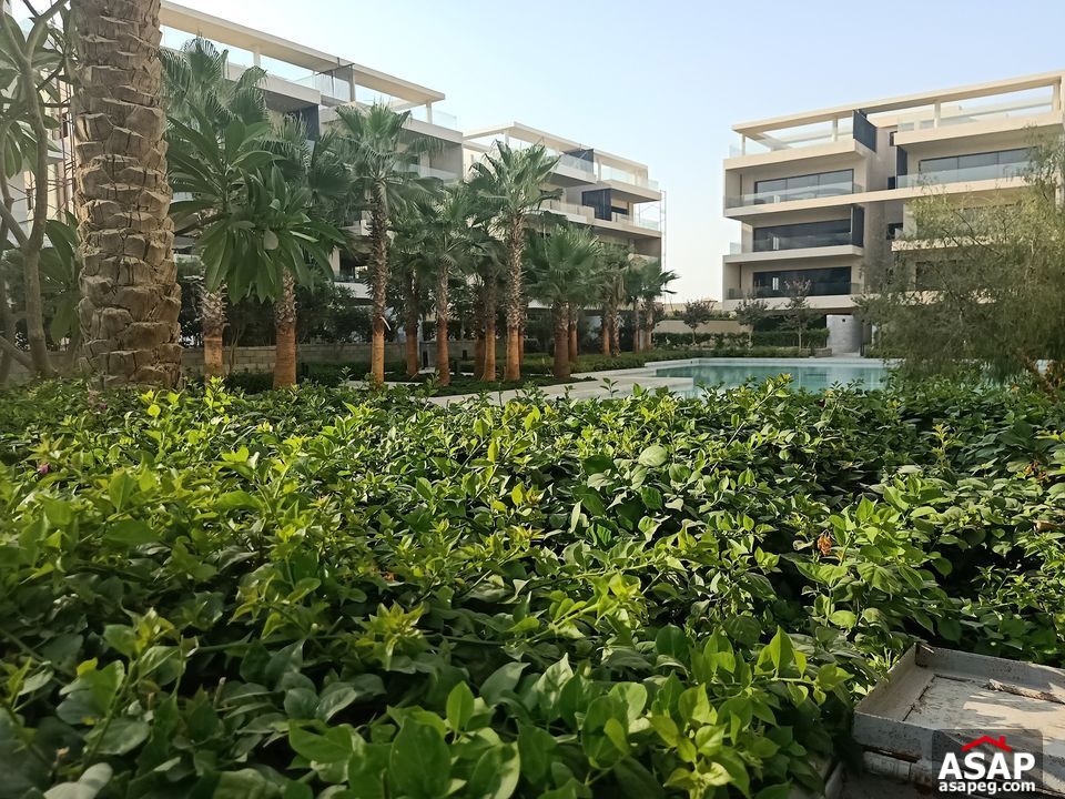 Apartment 268m for Sale in New Cairo Apartment 268m for Sale in New Cairo