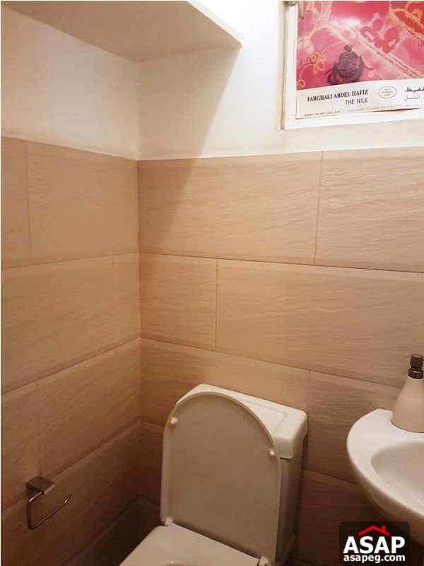 Apartment for Rent in Zamalek Apartment for Rent in Zamalek