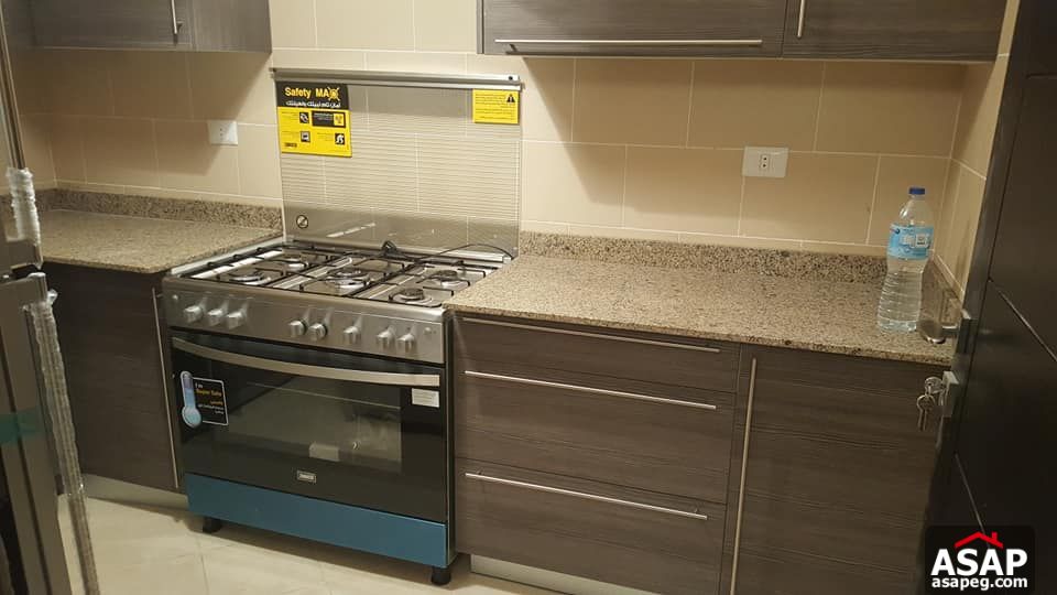 Apartment with Pool View for Rent in the Address - Sheikh Zayed Apartment with Pool View for Rent in the Address - Sheikh Zayed