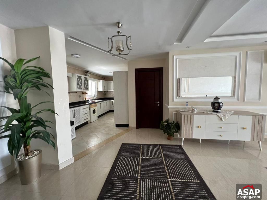 Furnished Apartment for Rent in Hyde Park