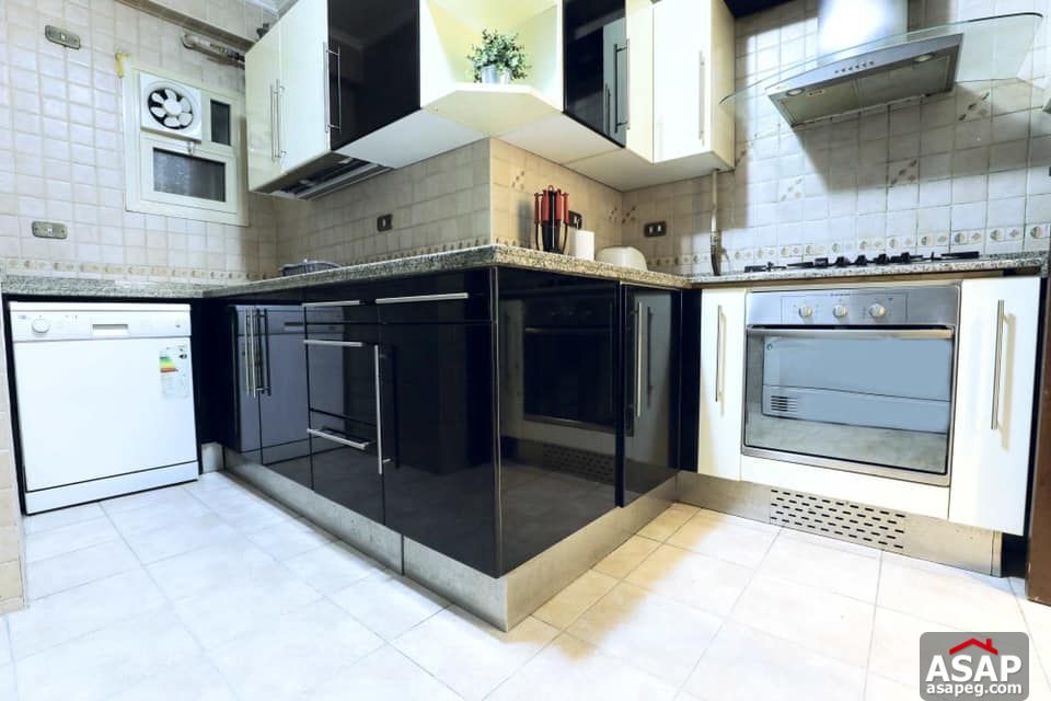 Apartment for Rent in Zamalek Apartment for Rent in Zamalek