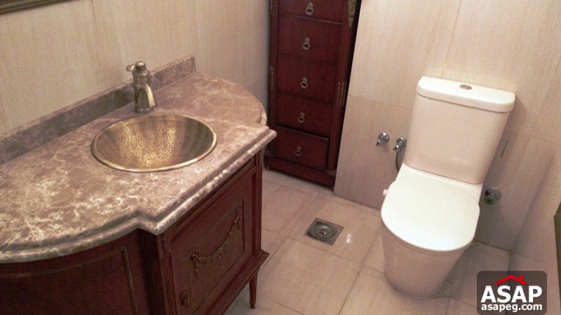 Apartment for rent in Dokki