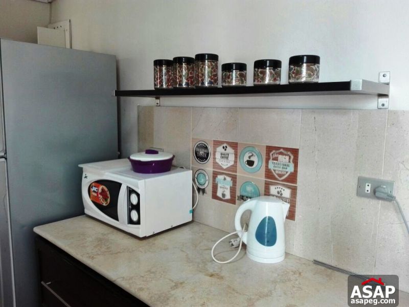 Furnished Apartment for rent in Mohandiseen