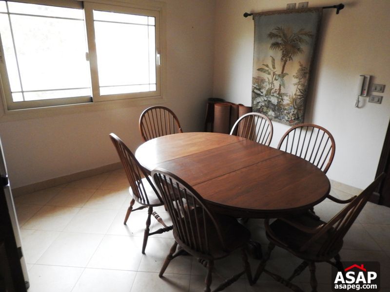 Modern Penthouse for Rent in Zamalek