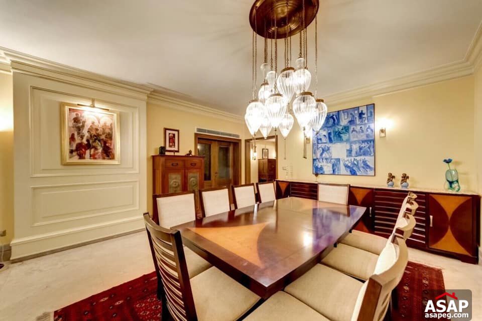 Apartment for Rent in Zamalek Apartment for Rent in Zamalek