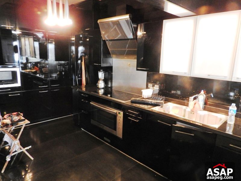 Apartment for rent in zamalek Apartment for rent in zamalek