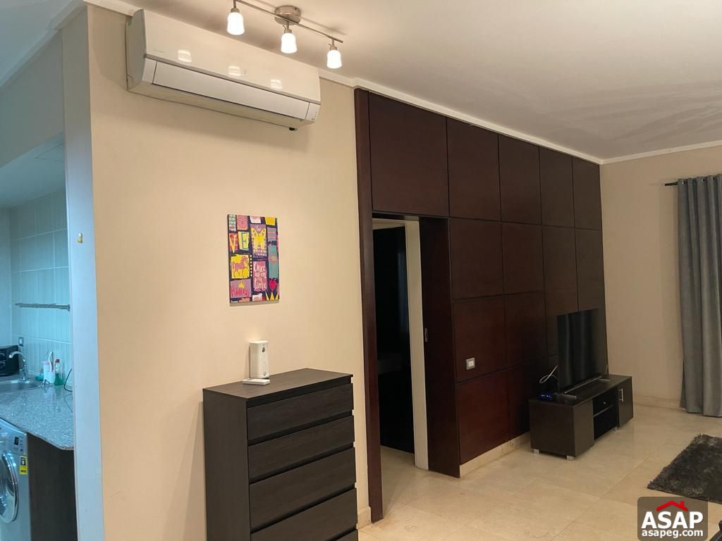 Fully Furnished Studio for Rent in the Village Fully Furnished Studio for Rent in the Village