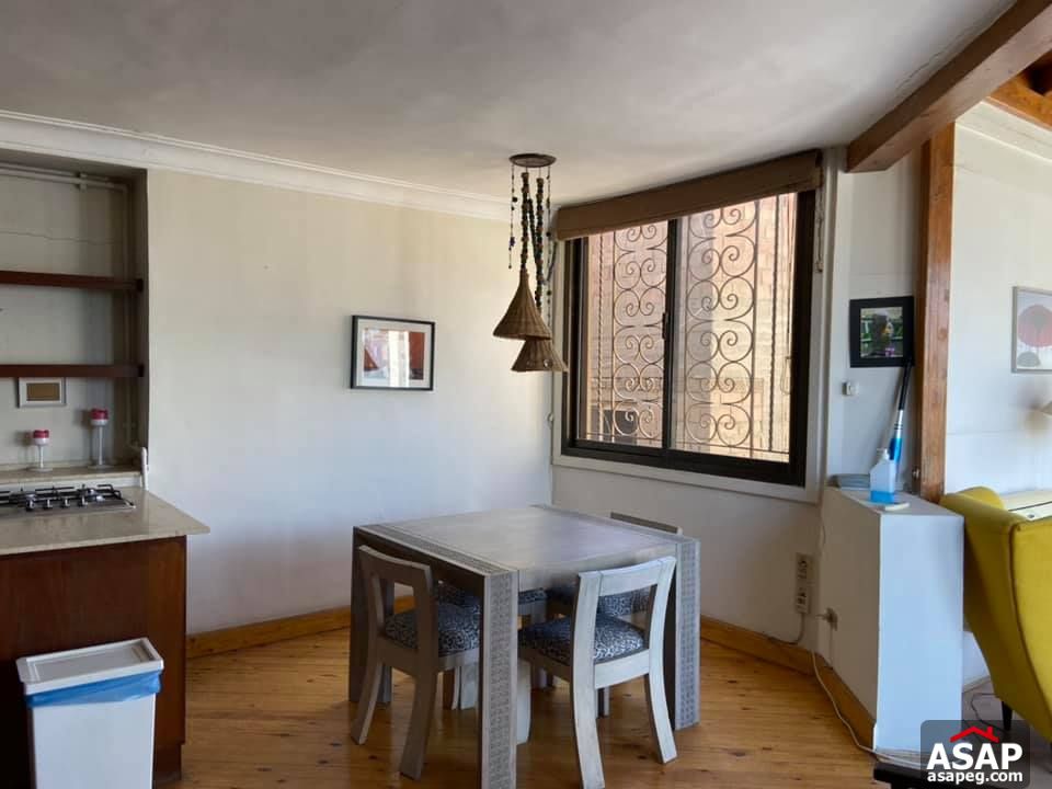 Apartment for Rent in Zamalek Apartment for Rent in Zamalek