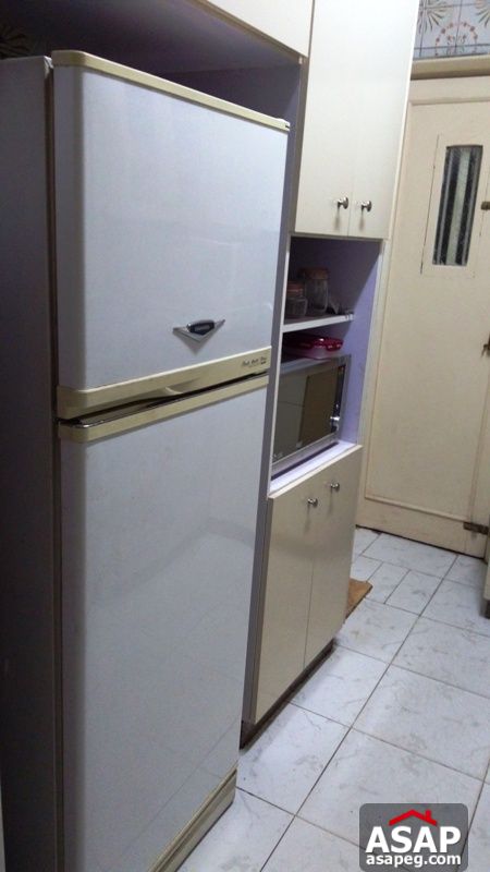 Furnished Apartment with Nile View in Zamalek Furnished Apartment with Nile View in Zamalek