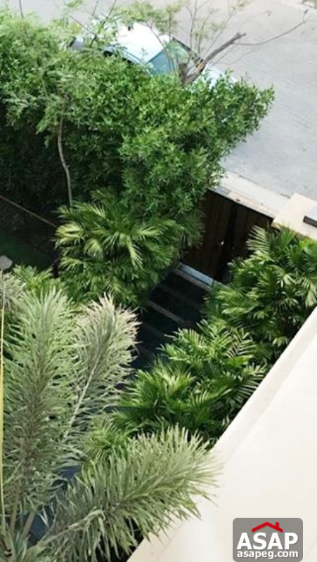 Twin House with Garden in Allegria Twin House with Garden in Allegria