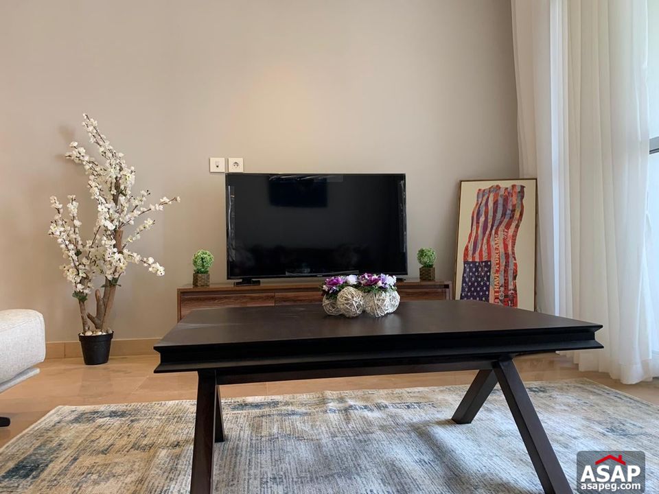 Furnished Apartment for Rent in CFC
