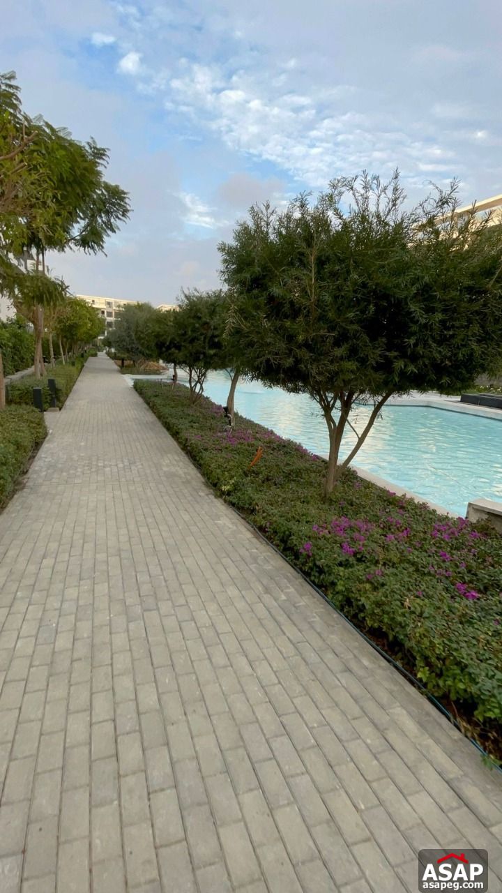 Apartment for Sale in Lake View Residence Apartment for Sale in Lake View Residence