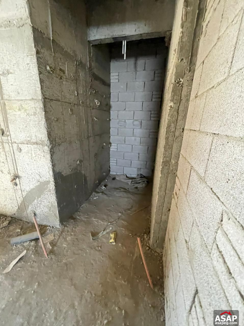 Penthouse with Pool for Sale in Lake View Residence