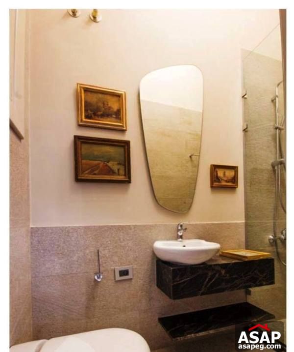 Furnished Apartment for Rent in Zamalek Furnished Apartment for Rent in Zamalek