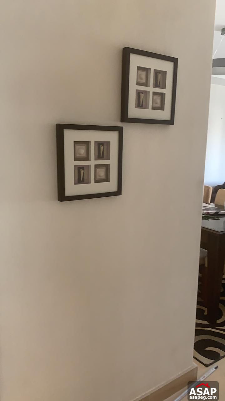 Apartment for Rent in New Cairo