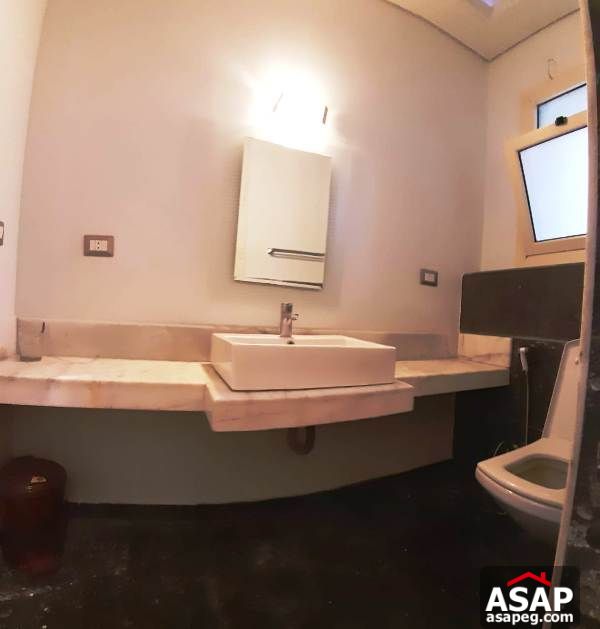 Property for Rent in the Village - New Cairo Property for Rent in the Village - New Cairo