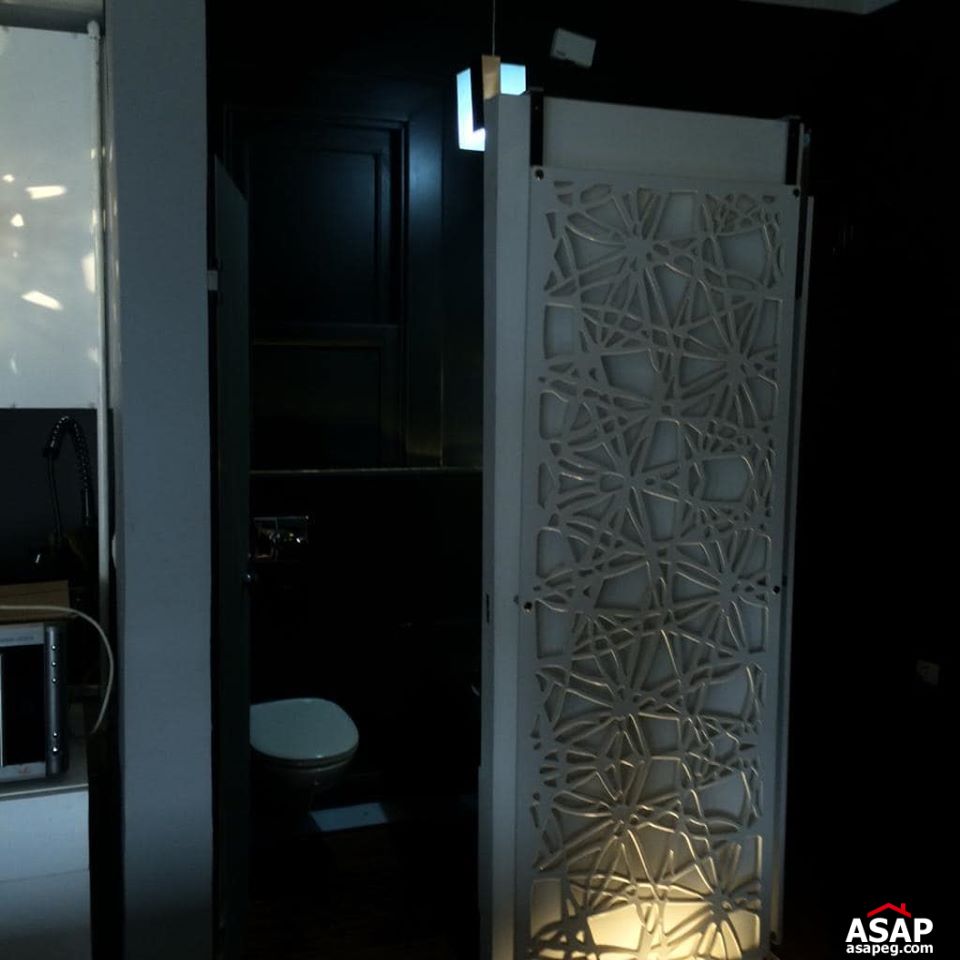 Apartment for Rent in Zamalek Apartment for Rent in Zamalek