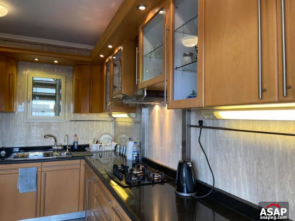 Apartment for Rent in Zamalek Apartment for Rent in Zamalek