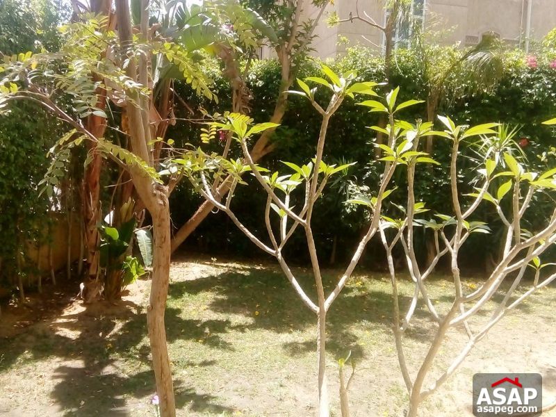 Villa with Garden for Rent in Rehab Villa with Garden for Rent in Rehab