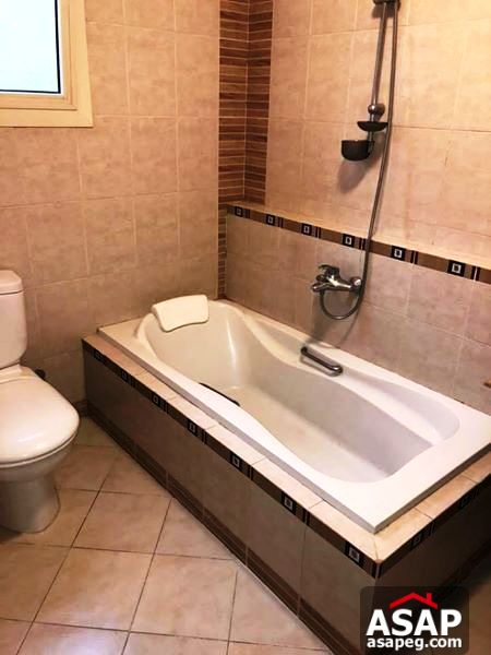 Furnished Penthouse for Rent in Maadi Furnished Penthouse for Rent in Maadi