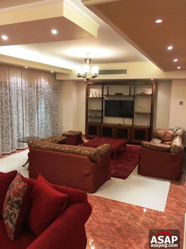 Furnished Apartment with Nile View in Dokki