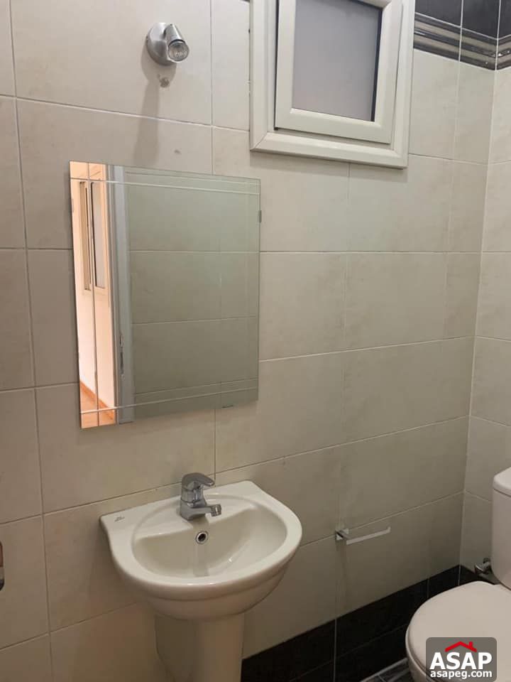 Apartment for Rent in Zamalek Apartment for Rent in Zamalek