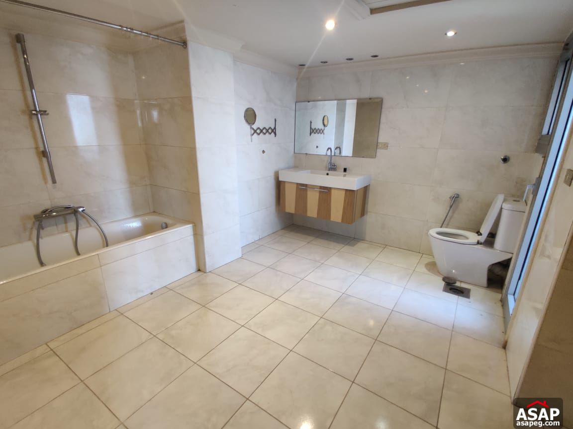 Apartment for Rent in Zamalek Apartment for Rent in Zamalek