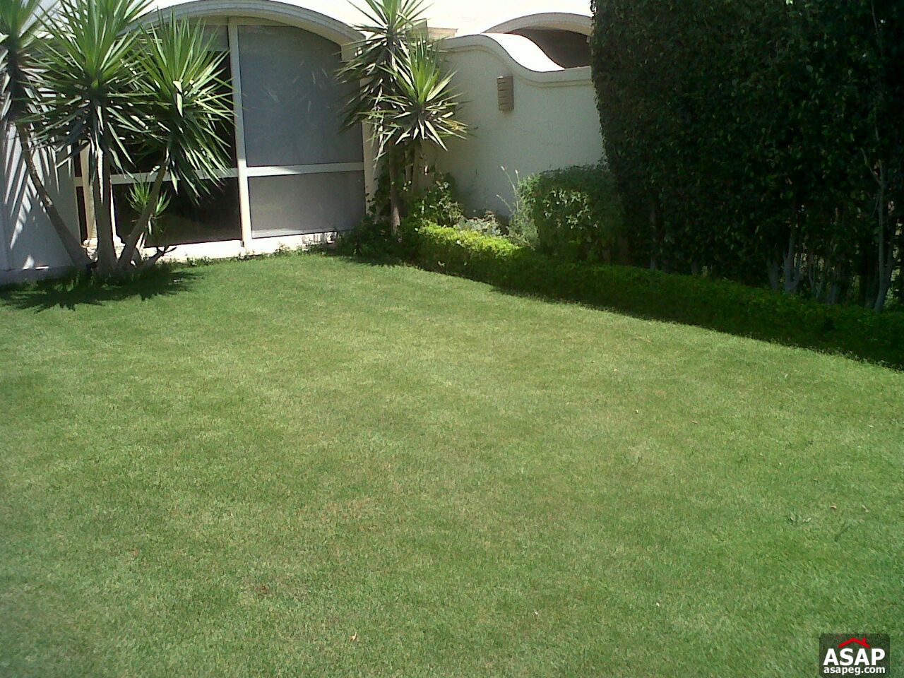 Villa for Rent in El Patio Compound