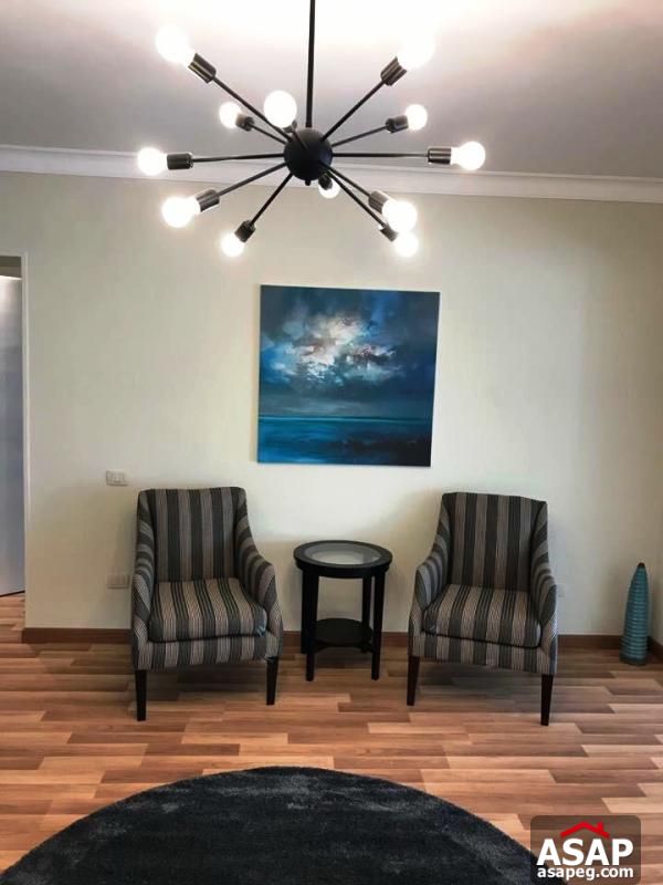 Modern Flat for Rent in Zamalek Modern Flat for Rent in Zamalek