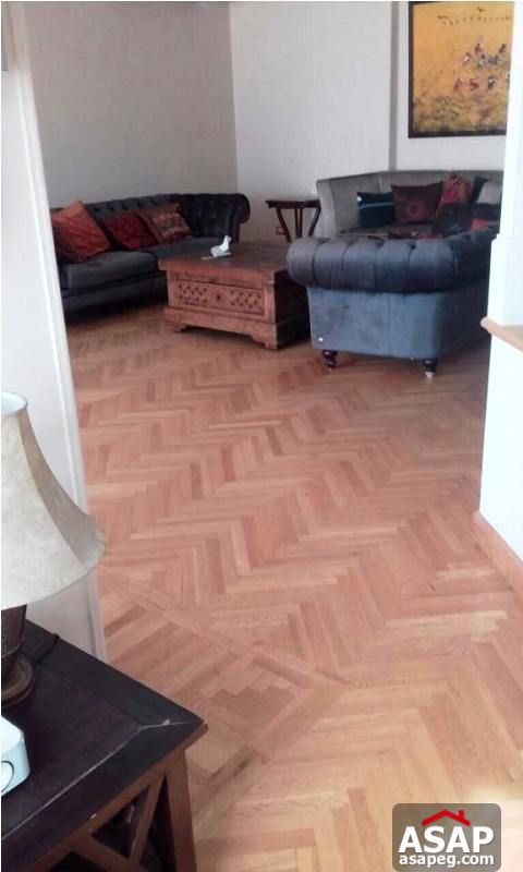 Furnished Duplex in Maadi for Rent Furnished Duplex in Maadi for Rent