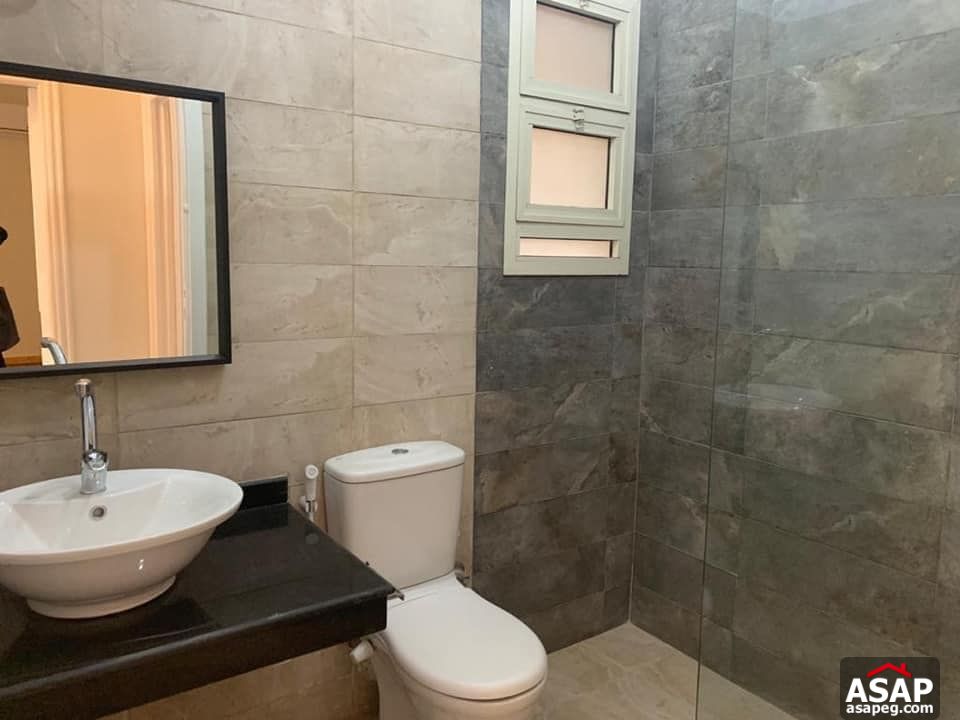 Apartment for Rent in Zamalek Apartment for Rent in Zamalek