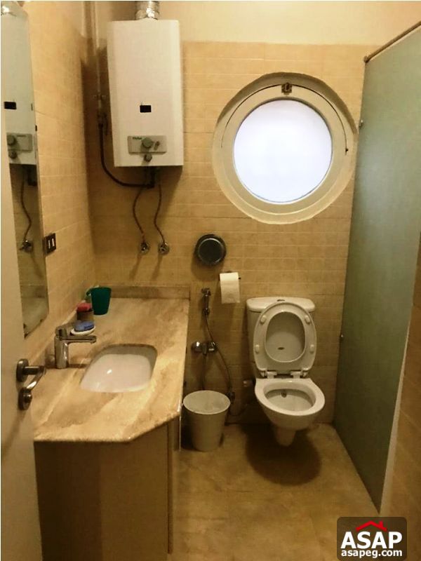 Apartment for Rent in Zamalek Apartment for Rent in Zamalek