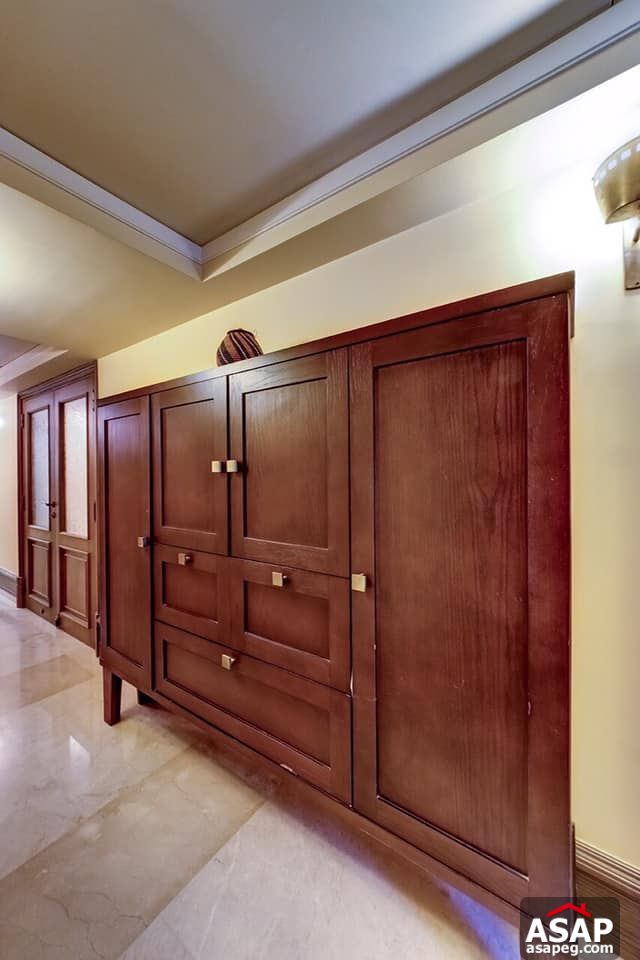 Apartment for Rent in Zamalek Apartment for Rent in Zamalek