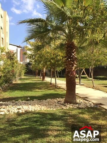 Studio for Rent in the Village Palm Hills