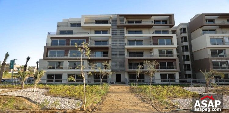 For Sale Flat in Palm Hills New Cairo Compound For Sale Flat in Palm Hills New Cairo Compound