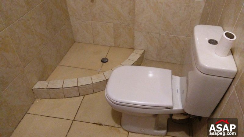 Apartment with Terrace for Rent in Zamalek