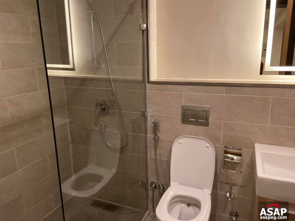 Apartment for Rent in Zamalek Apartment for Rent in Zamalek