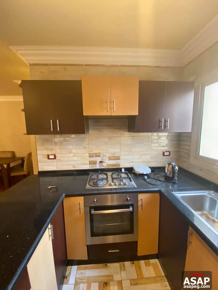 Apartment for Rent in Zamalek Apartment for Rent in Zamalek