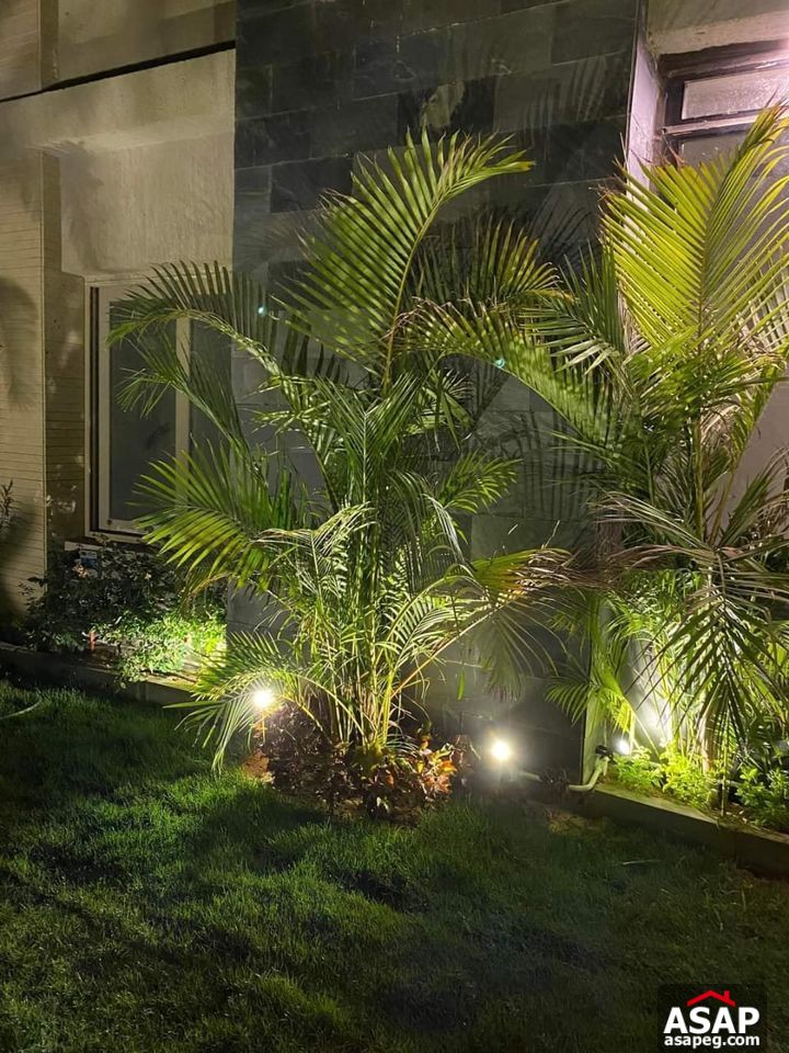 Ground Floor for Rent in Galleria Moon Valley