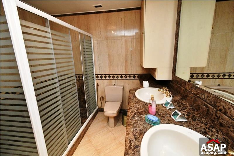 Furnished Flat in Zamalek for Rent Furnished Flat in Zamalek for Rent