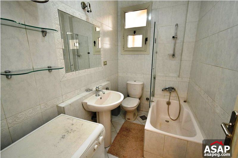 Furnished Apartment for Rent in Zamalek Furnished Apartment for Rent in Zamalek